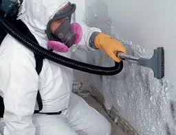 Best Post-Construction Mold Inspection in USA